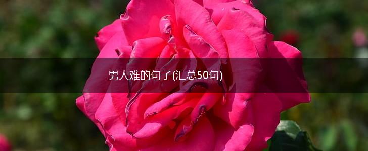 男人难的句子(汇总50句),第1张