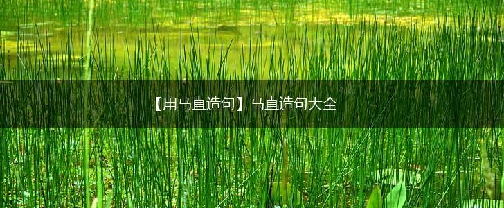 【用马直造句】马直造句大全,第1张