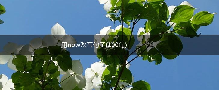 用now改写句子(100句),第1张