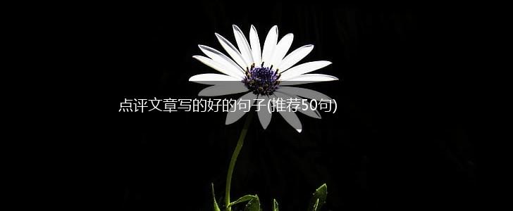 点评文章写的好的句子(推荐50句),第1张