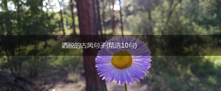 洒脱的古风句子(精选10句),第1张