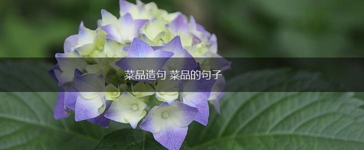 菜品造句 菜品的句子,第1张
