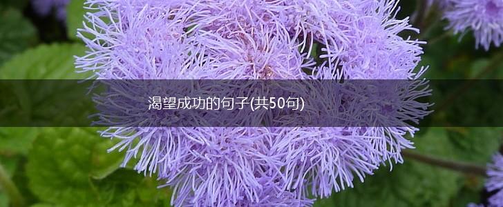 渴望成功的句子(共50句),第1张