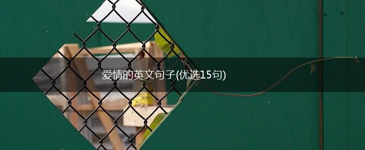 爱情的英文句子(优选15句),第1张