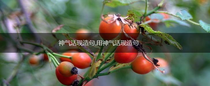神气活现造句,用神气活现造句,第1张