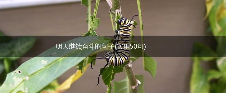 明天继续奋斗的句子(实用50句),第1张