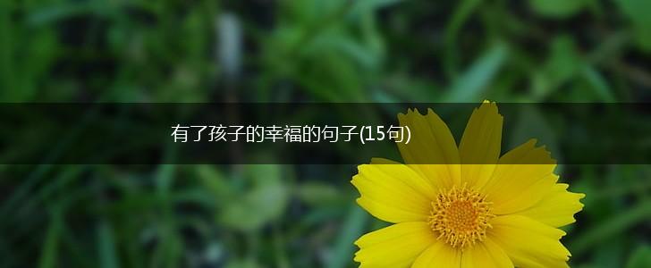有了孩子的幸福的句子(15句),第1张