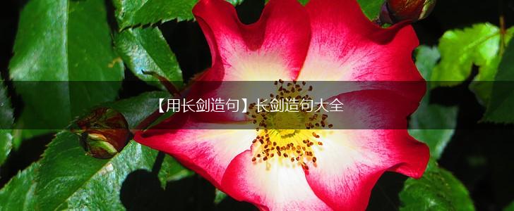 【用长剑造句】长剑造句大全,第1张