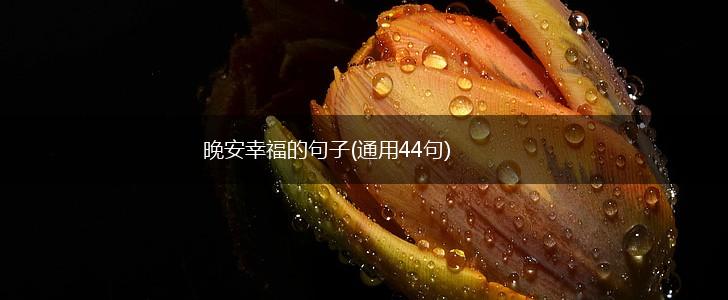 晚安幸福的句子(通用44句),第1张