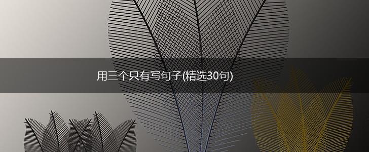 用三个只有写句子(精选30句),第1张