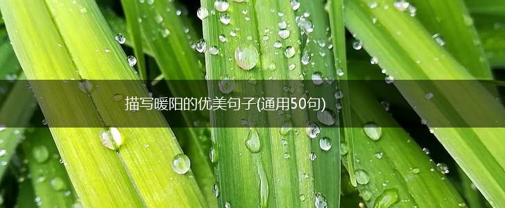 描写暖阳的优美句子(通用50句),第1张