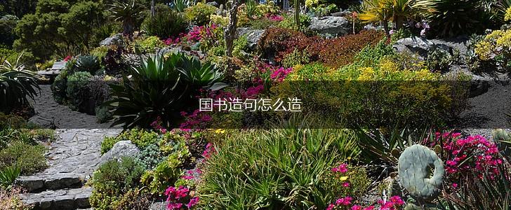 国书造句怎么造,第1张
