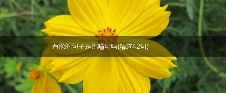 有像的句子是比喻句吗(精选42句),第1张