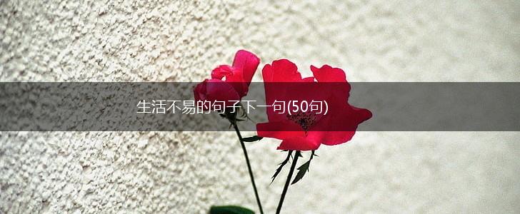 生活不易的句子下一句(50句),第1张