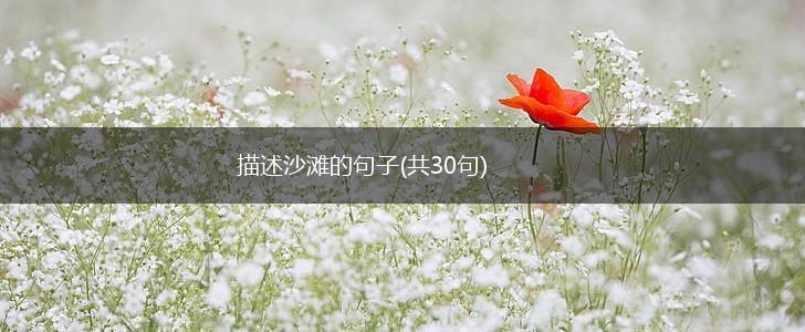 描述沙滩的句子(共30句),第1张