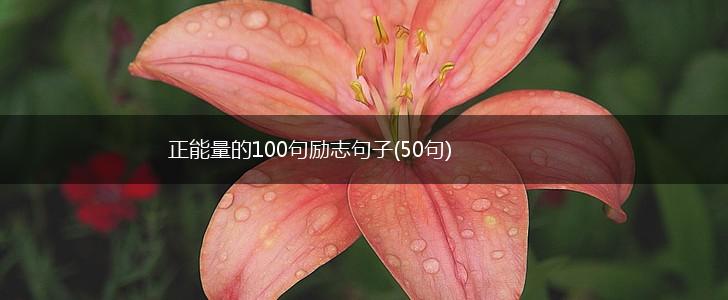 正能量的100句励志句子(50句),第1张