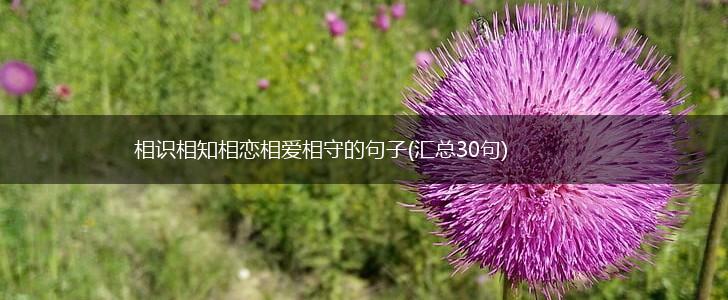 相识相知相恋相爱相守的句子(汇总30句),第1张