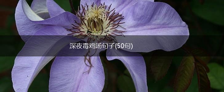 深夜毒鸡汤句子(50句),第1张