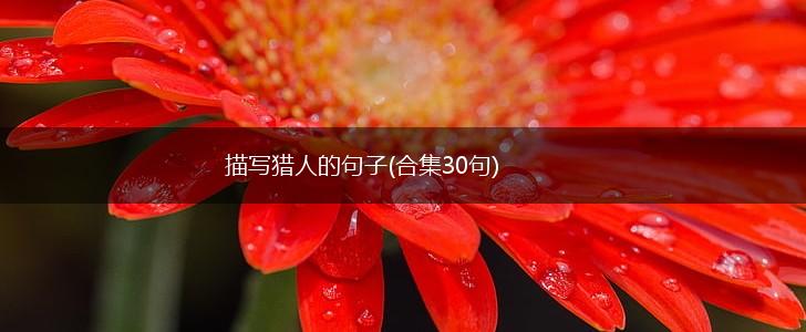 描写猎人的句子(合集30句),第1张