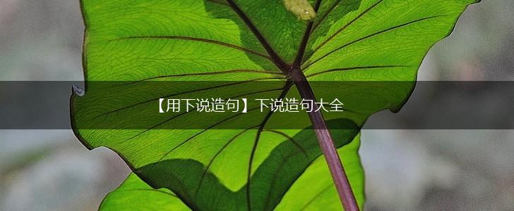 【用下说造句】下说造句大全,第1张