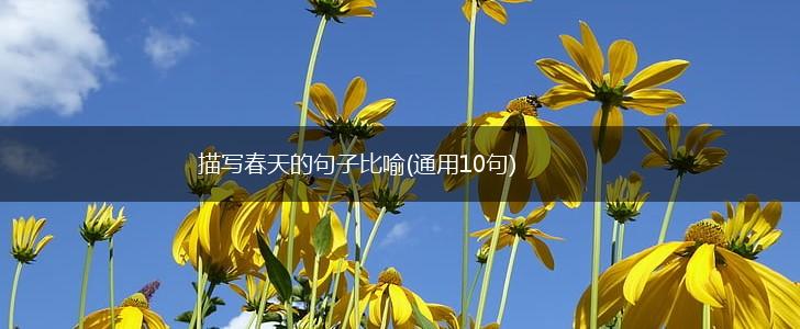描写春天的句子比喻(通用10句),第1张
