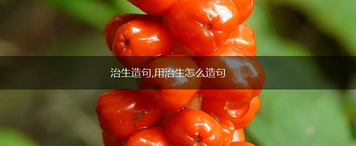 治生造句,用治生怎么造句,第1张