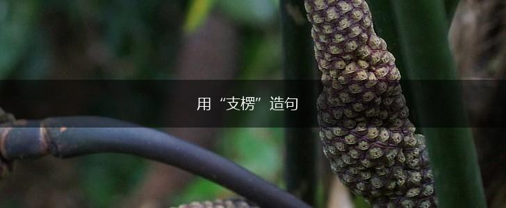 用“支楞”造句,第1张