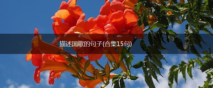 描述国歌的句子(合集15句),第1张