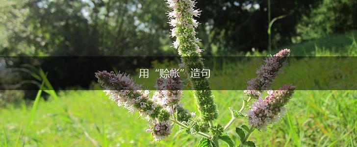 用“赊帐”造句,第1张