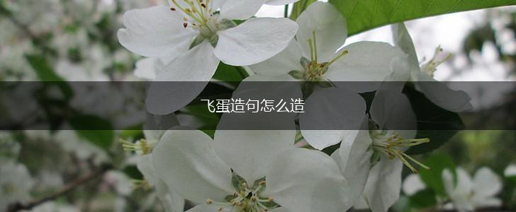 飞蛋造句怎么造,第1张