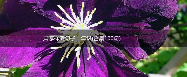 用怎样造句子一年级(合集100句),第1张