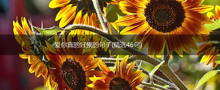 爱你真的好累的句子(精选46句),第1张