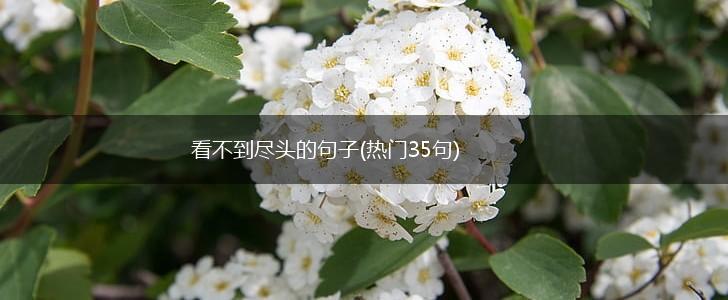 看不到尽头的句子(热门35句),第1张