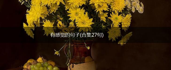 有感觉的句子(合集27句),第1张
