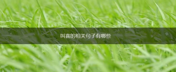 叫喜的相关句子有哪些,第1张