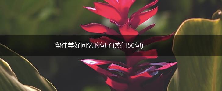 留住美好回忆的句子(热门50句),第1张