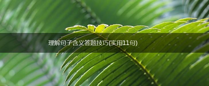 理解句子含义答题技巧(实用11句),第1张