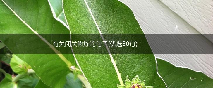 有关闭关修炼的句子(优选50句),第1张