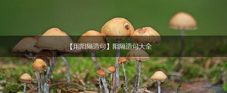 【用阻隔造句】阻隔造句大全,第1张
