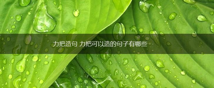 力把造句 力把可以造的句子有哪些,第1张