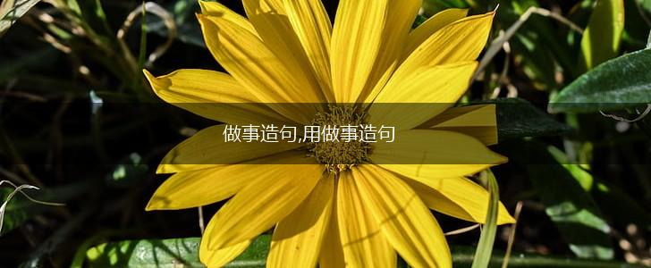 做事造句,用做事造句,第1张