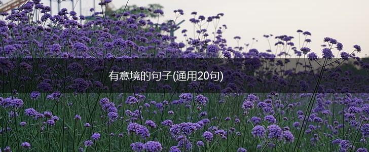 有意境的句子(通用20句),第1张