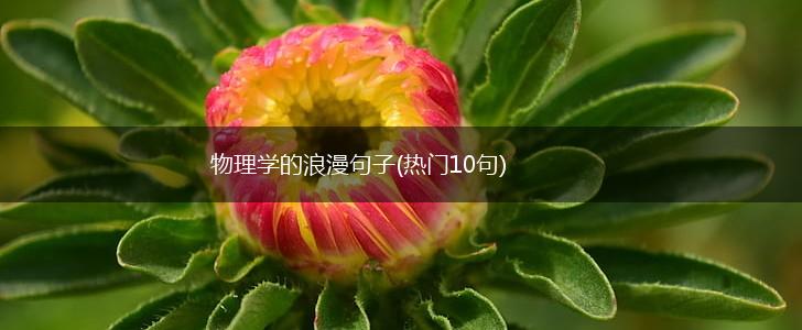 物理学的浪漫句子(热门10句),第1张