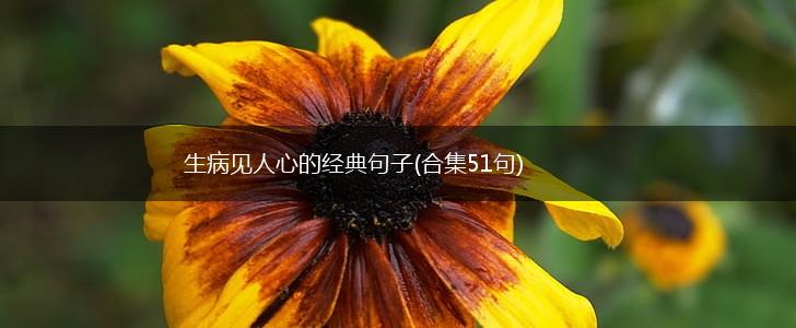 生病见人心的经典句子(合集51句),第1张