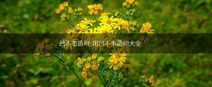 吕不韦造句_用吕不韦造句大全,第1张