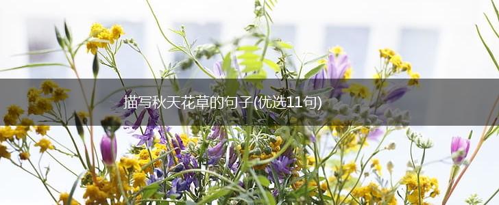 描写秋天花草的句子(优选11句),第1张