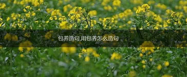 包养造句,用包养怎么造句,第1张