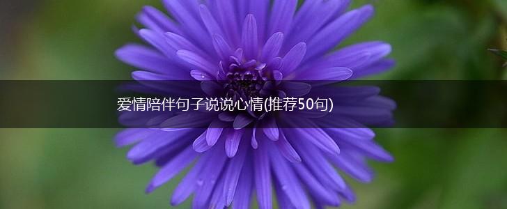 爱情陪伴句子说说心情(推荐50句),第1张
