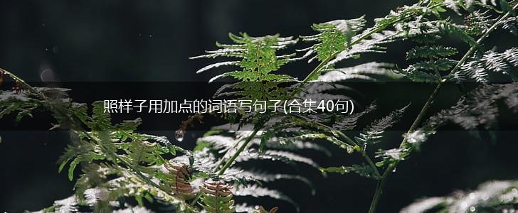 照样子用加点的词语写句子(合集40句),第1张