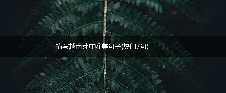 描写越南芽庄唯美句子(热门7句),第1张